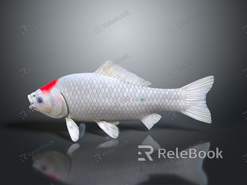 Cold Water Fish Goldfish Gold Grass Gold Cold Water Parrot Koi Double Tailed Gold Red Hat Lanshou Longjing model