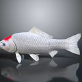 Realistic Silver Aquatic Fish With Red Head Detailed Scales Fins And Tail Reflection