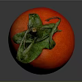 Fresh Red Tomato With Green Stem Smooth Skin For Household Essentials