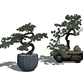 Two Bonsai Plants With Curved Trunks Green Foliage In Blue And Stone Containers