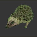 Modern Hedgehog Cartoon Hedgehog Animation Hedgehog 3d model