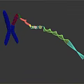 Innovative Medical Device With Blue X Shaped Structure And Helical Chain For Molecular Research