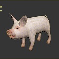 Pig Cartons Pig Game Pig Pig Head Pig Livestock Taming Animal Husbandry Animal Husbandry Mammals 3d model