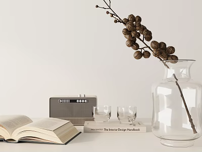 Decorative Ornament Combination with Glass Vase Branches Open Book Radio and Glasses 3d model