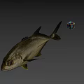 Realistic Fish Model With Floating Colorful Dice In Gray Background