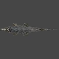 Detailed Crocodile 3D Model With Open Mouth And Scaly Skin