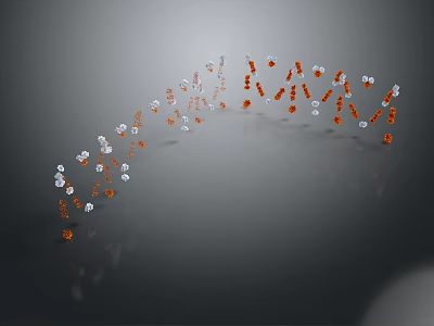 Orange and White Flower Petals in Curved Arrangement on Gray Reflective Background 3d model