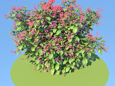 Vibrant Shrub With Pink Flowers And Green Leaves Against Blue Sky 3d model