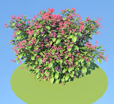 Vibrant Shrub With Pink Flowers And Green Leaves Against Blue Sky 3d model