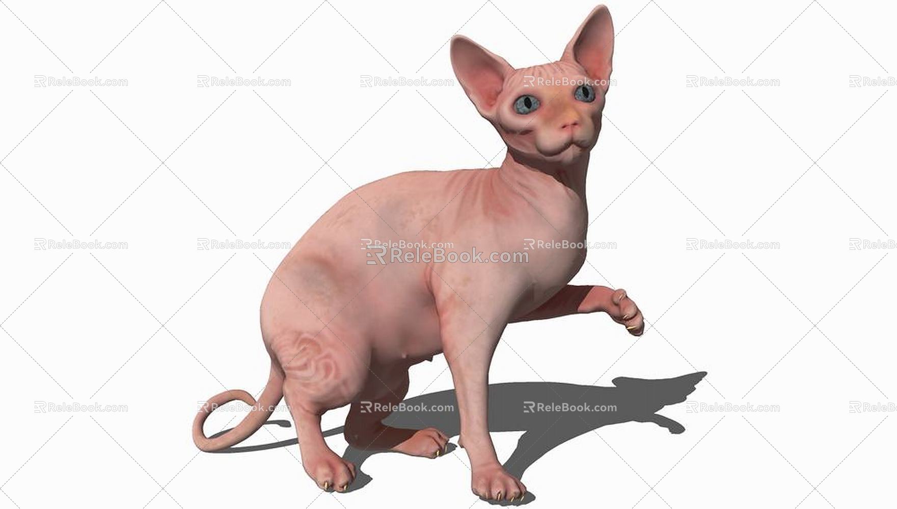 Modern Cat Animal Cat 3d model