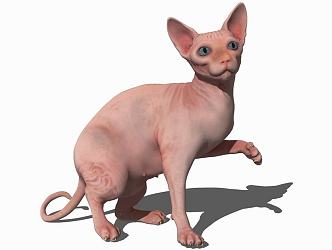 Modern Cat Animal Cat 3d model