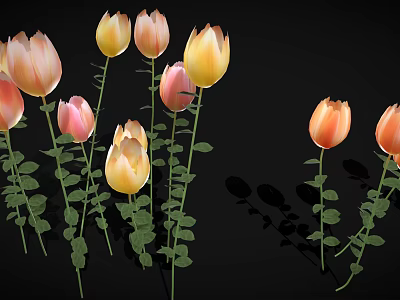 Colorful Tulips With Pink Yellow Orange Petals Green Stems And Leaves On Black Background 3d model