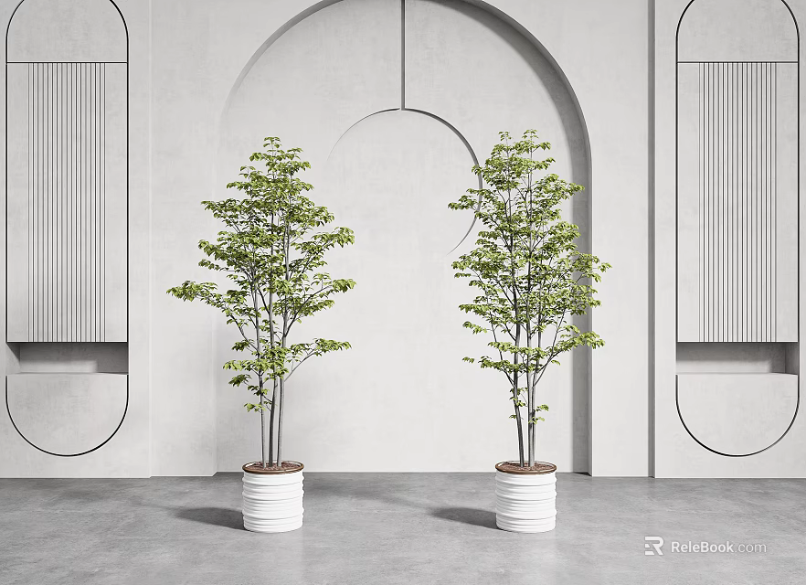 Two Potted Trees In White Pots Against Gray Wall With Arched Design 3d model 