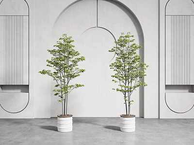 Two Potted Trees In White Pots Against Gray Wall With Arched Design 3d model