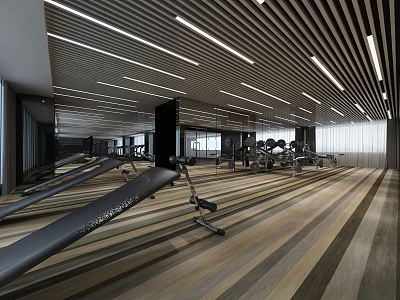 Modern Fitness Gym Interior With Rowing Machines Dumbbells Wooden Floor And Striped Ceiling Lights 3d model