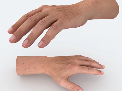 Detailed Human Hands Close Up With Skin Texture And Finger Structure 3d model