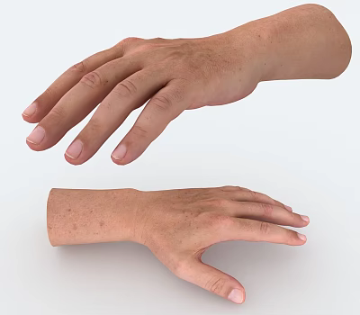 Detailed Human Hands Close Up With Skin Texture And Finger Structure 3d model