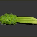 Modern celery celery vegetables fruits vegetables 3d model