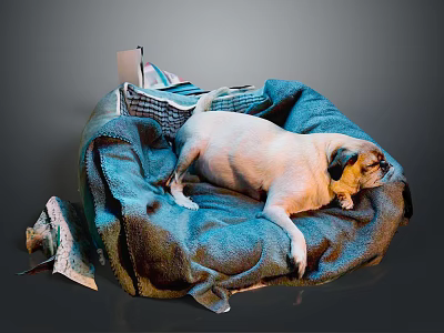 Cozy Blue Dog Bed With White Pug Lying On Soft Blanket 3d model