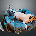 Cozy Blue Dog Bed With White Pug Lying On Soft Blanket