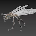 Detailed Dragonfly With White Transparent Wings Colorful Eyes And Brown Green Body In Flight
