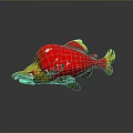 Vibrant Red and Yellow Aquatic Fish with Shiny Body and Reflection on Gray Background