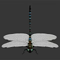Vibrant Dragonfly With Transparent Wings Blue Green Stripes And Detailed Green Eyes
