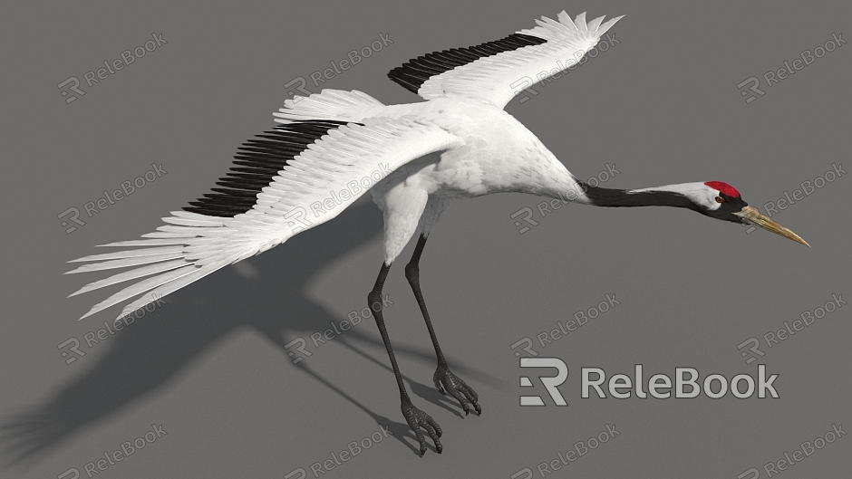 Crane Crane Crane Red-crowned Crane High Precision Crane Super Realistic High Precision Video Grade model