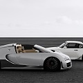 Porsche vs Bugatti 3d model