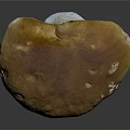 Fresh Edible Mushroom With Smooth Orange Brown Cap And Firm White Stem