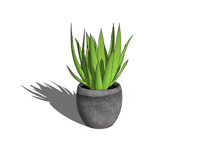 Aloe Vera Potted Plant With Vibrant Green Leaves In Gray Pot 3d model