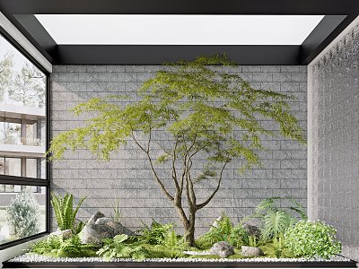 Modern landscape sketch courtyard sketch plant landscaping rockery stone indoor landscape plant pile ferns model