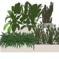 Indoor Potted Plants with Green Leafy Succulents in White Rectangular Planters for Home Decor