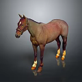 Brown Horse Wearing Reins With White Legs And Yellow Hooves In 3D Rendering