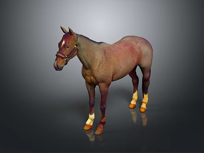 Brown Horse Wearing Reins With White Legs And Yellow Hooves In 3D Rendering 3d model