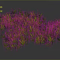 Green Grass Like Plants With Dense Growth On Dark Reflective Background 3d model