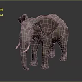 Elephant With Large Ears Long Trunk And Ivory Tusks Standing On Gray Background