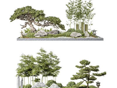 Courtyard Garden Design With Pine Trees Bamboo Stones And Lantern Decorations 3d model