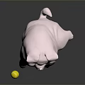 Pink Pig Stuffed Toy Sitting Next To Yellow Ball On Dark Reflective Surface