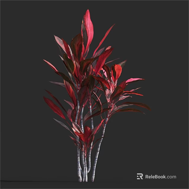 Beautiful Colorful Shrub With Red And Green Leaves And Slender Stems 3d model 