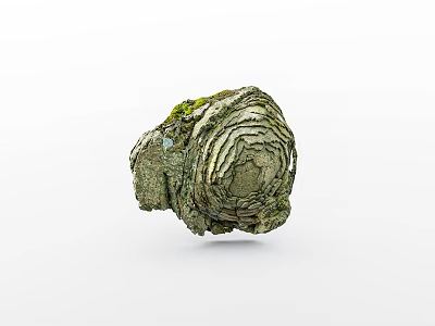 Natural Rockery Stone With Layered Texture And Green Moss For Garden Decor 3d model