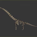 Detailed Dinosaur Skeleton Model With Anatomical Organ Features And Hair Impressions
