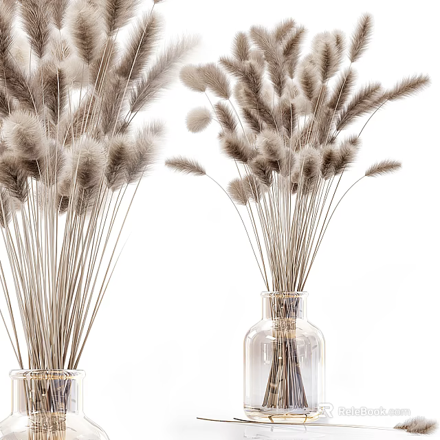 Elegant Dried Pampas Grass Flower Arrangement In Transparent Glass Vases For Home Decor 3d model 