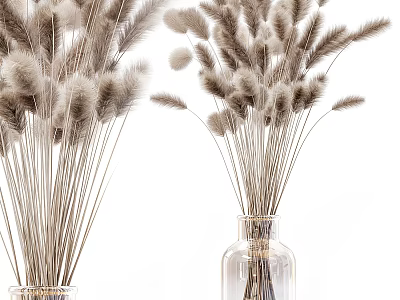 Elegant Dried Pampas Grass Flower Arrangement In Transparent Glass Vases For Home Decor 3d model