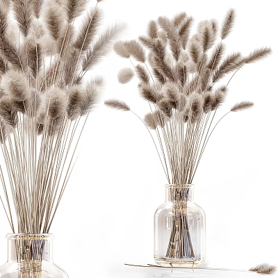Elegant Dried Pampas Grass Flower Arrangement In Transparent Glass Vases For Home Decor 3d model