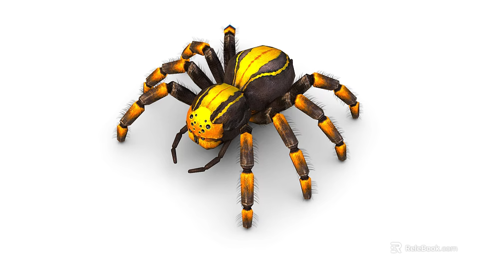 Vibrant Yellow And Black Striped Spider With Orange Banded Legs On White Background 3d model 