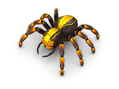 Vibrant Yellow And Black Striped Spider With Orange Banded Legs On White Background 3d model