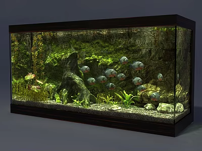 Decorative Wall Mounted Aquarium With Colorful Fish Green Plants And Stones 3d model