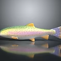 Colorful Spotted Rainbow Trout Fish With Yellow Fins On Dark Surface