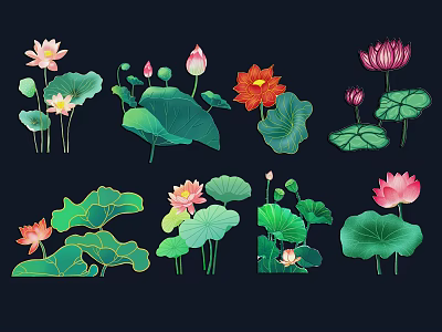 Colorful Lotus Flowers And Green Leaves With Pink Red Buds Botanical Design 3d model